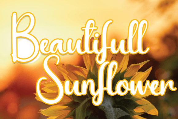 Beautifull Sunflower: A Friendly Font for Stronger Campaigns