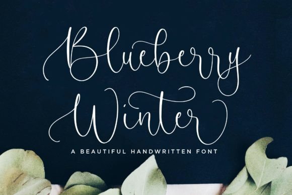 Blueberry Winter for Web Design and Brand Identity