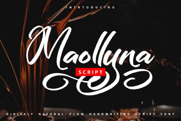 Maollyna: A Natural Script Font for Polished Branding