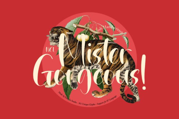 Mister Gorgeous: The Handwritten Typeface That Elevates Campaign Visuals