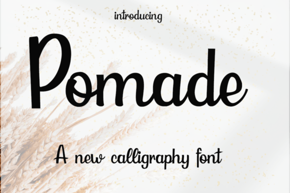Pomade Font Review: A Modern Script for Bold Branding