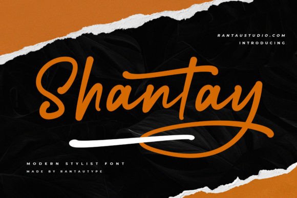 Shantay: The Bold Script Font That Elevates Campaigns